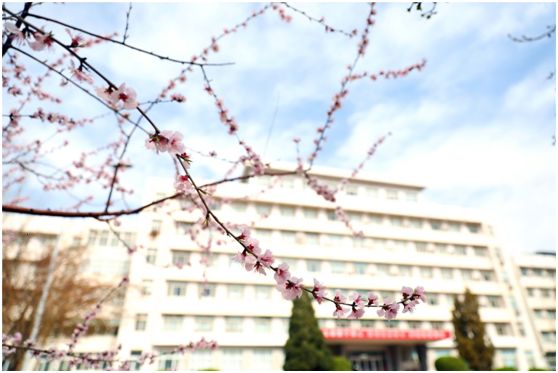 说明:https://mmbiz.qpic.cn/mmbiz_png/uYQH1LvBibibibsicdP2CWvnwrJIT5m6siciaic4CfDnfxib6icHwib3wdZgIfFb1syFZBs4espiaTUnRIUT5eBUn4ibFkPicQQ/640?wx_fmt=png&tp=webp&wxfrom=5&wx_lazy=1&wx_co=1