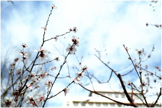 说明:https://mmbiz.qpic.cn/mmbiz_png/uYQH1LvBibibibsicdP2CWvnwrJIT5m6siciaicnX5I19HiazUPcGHeZFale7Xhib2vVrPGjoCibY6QFLwsrDXibfgGzt3chw/640?wx_fmt=png&tp=webp&wxfrom=5&wx_lazy=1&wx_co=1